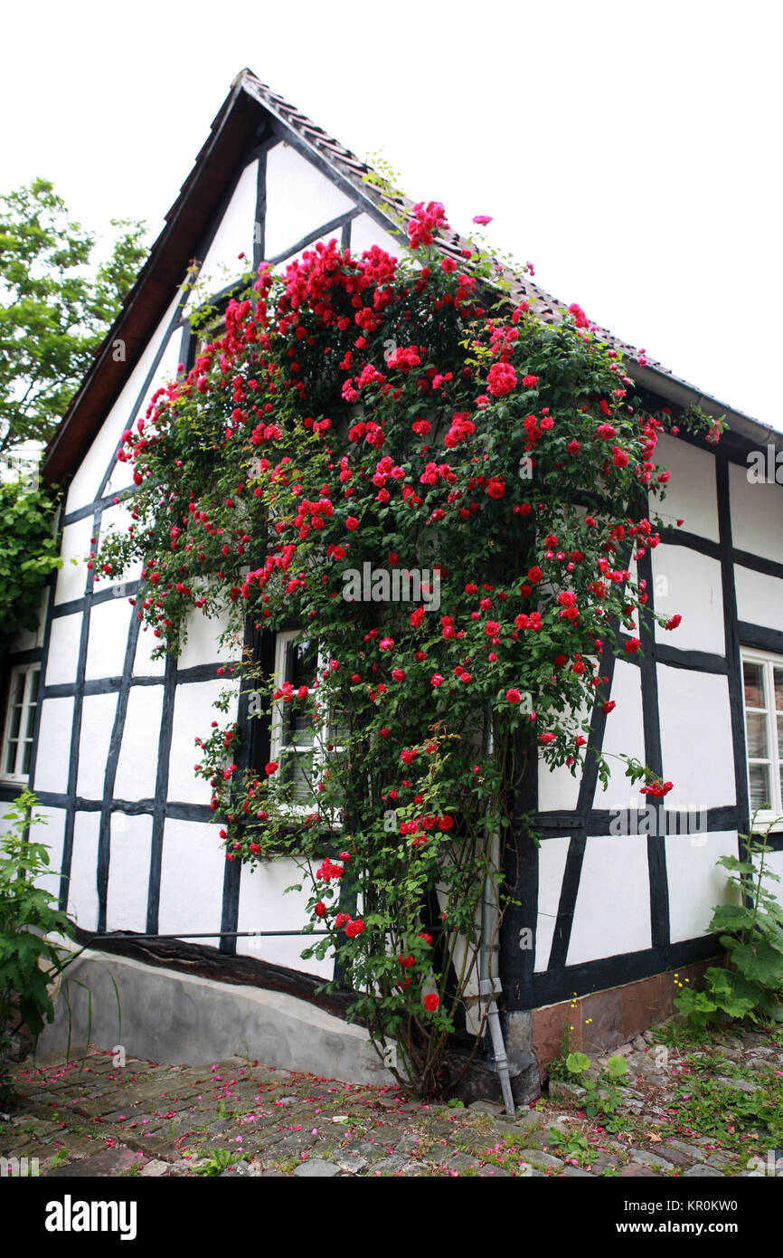 tudor style house world heritage historic old town warburg Stock