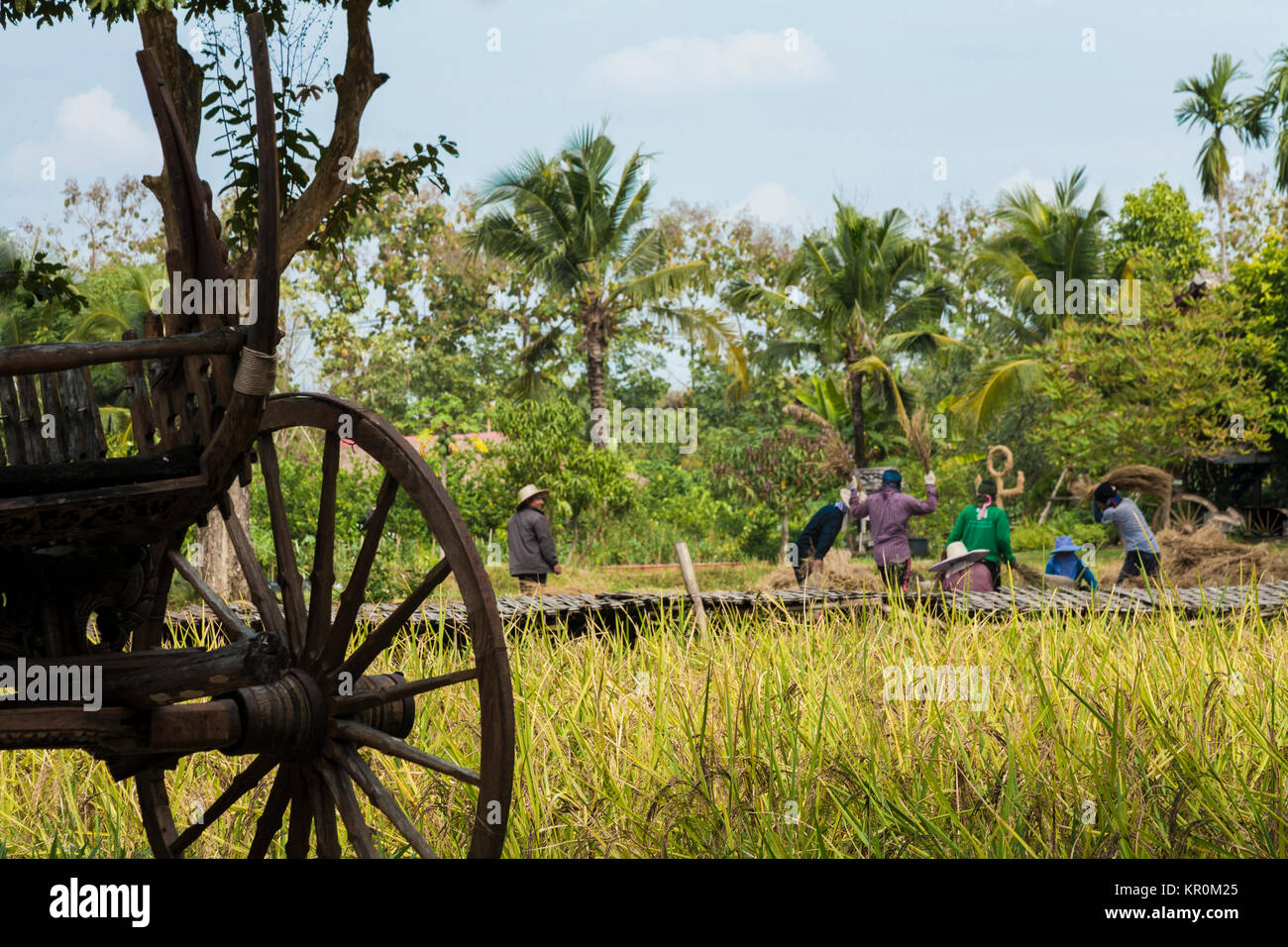 Asian Farmers High Resolution Stock Photography and Images - Alamy