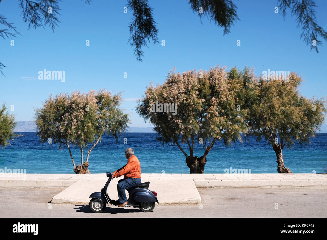 Wasser scooter Banque de photographies et d'images à haute résolution -  Alamy