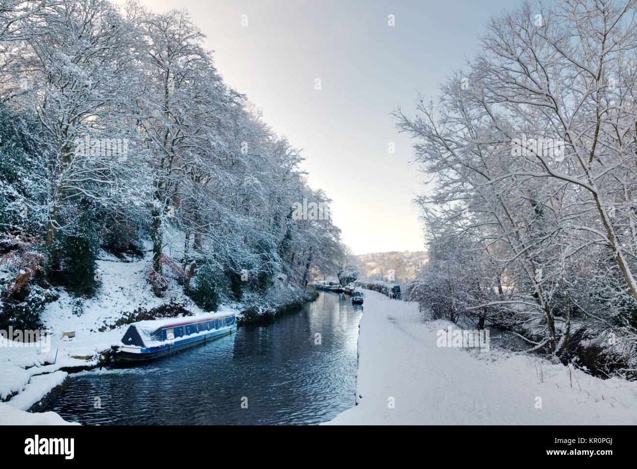 First snow of winter covering canal towpath and trees in Kinver, Staffordshire Stock Photo