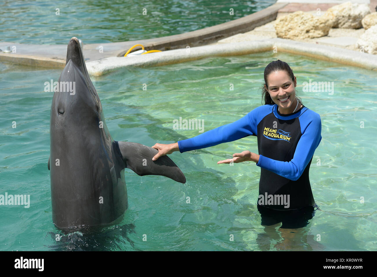 KEY BISCAYNE, FL - MARCH 18: Ana Ivanovic swims with dolphins at the