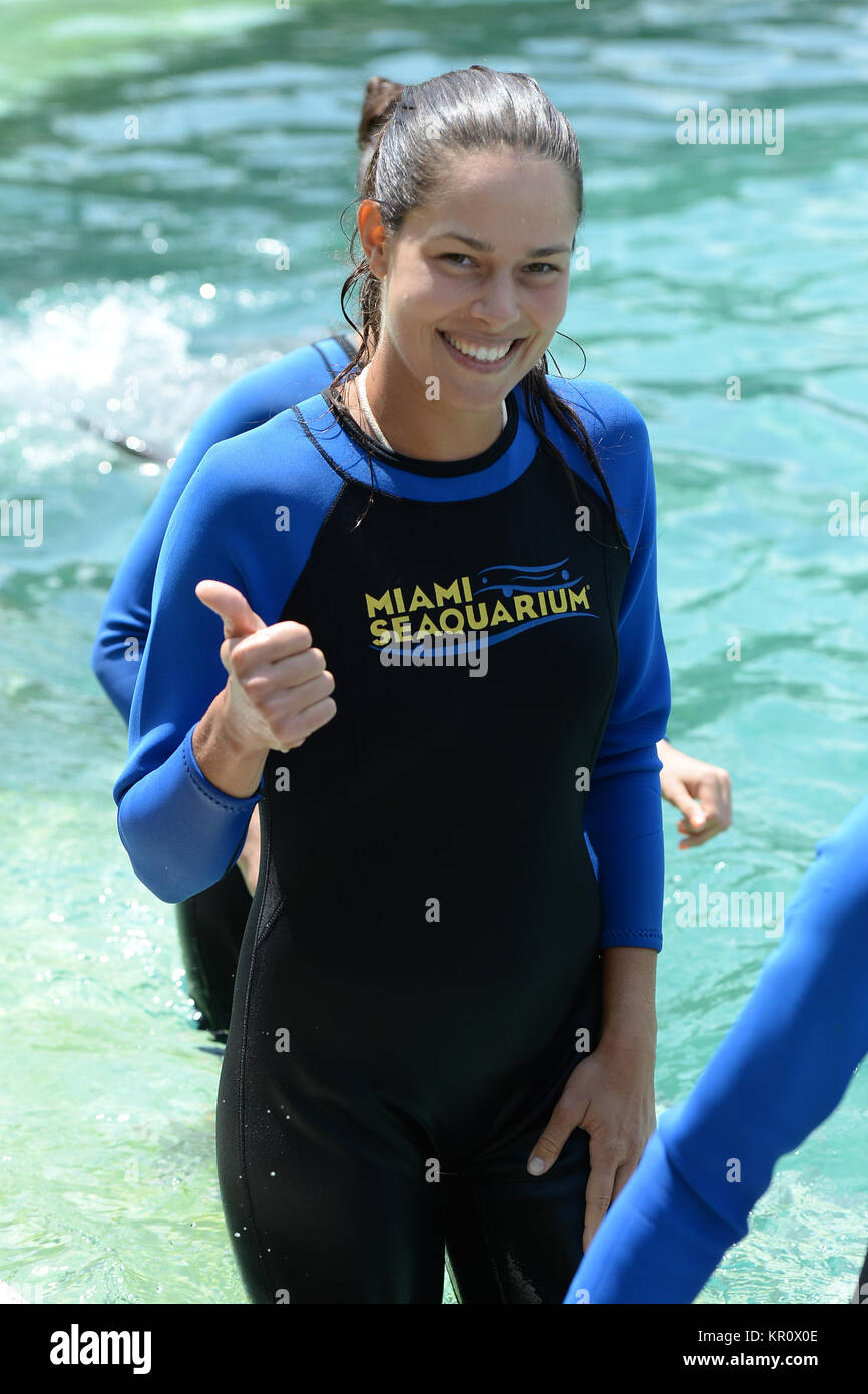 KEY BISCAYNE, FL - MARCH 18: Ana Ivanovic swims with dolphins at the