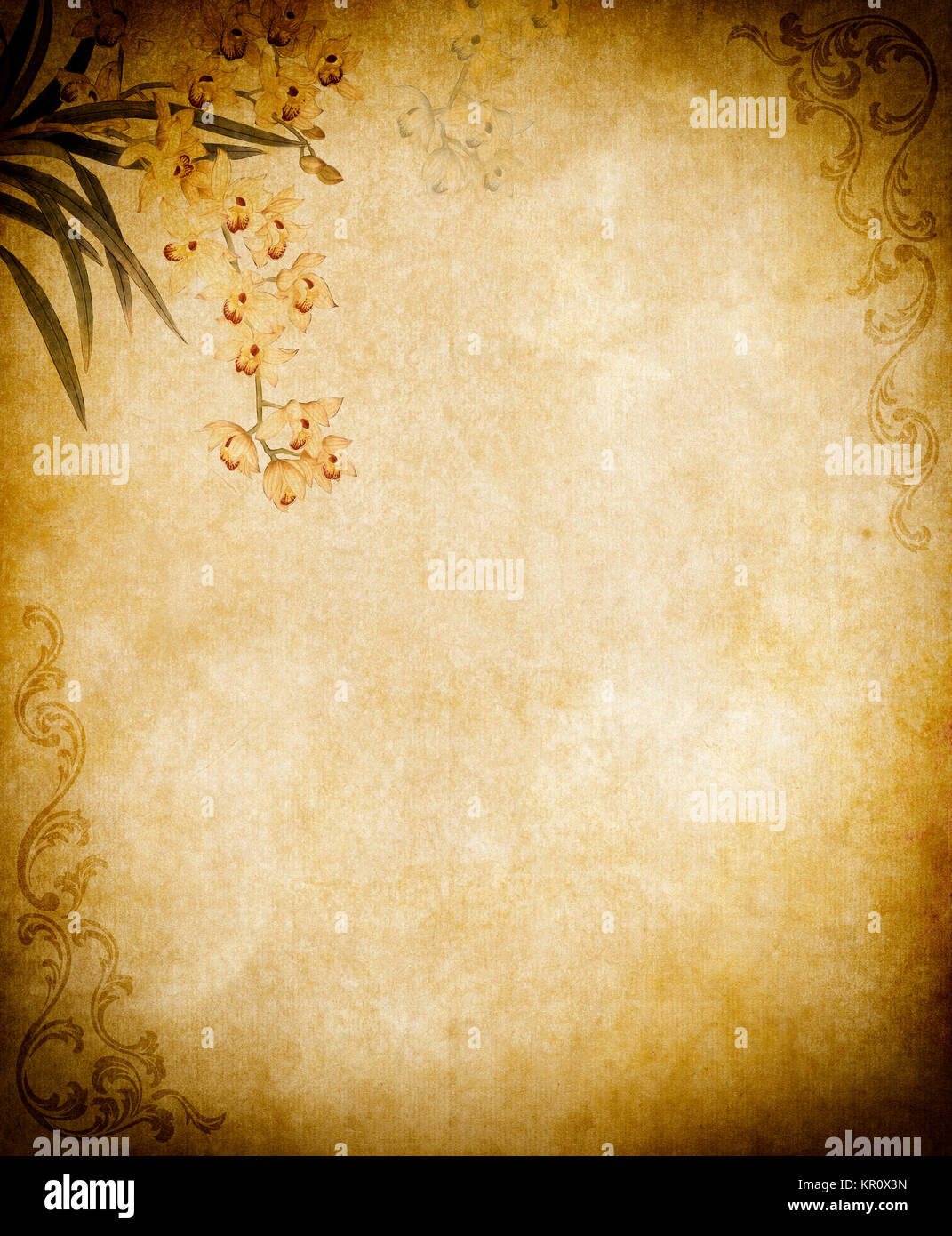 Grunge paper background with flowers and decorative patterns Stock ...