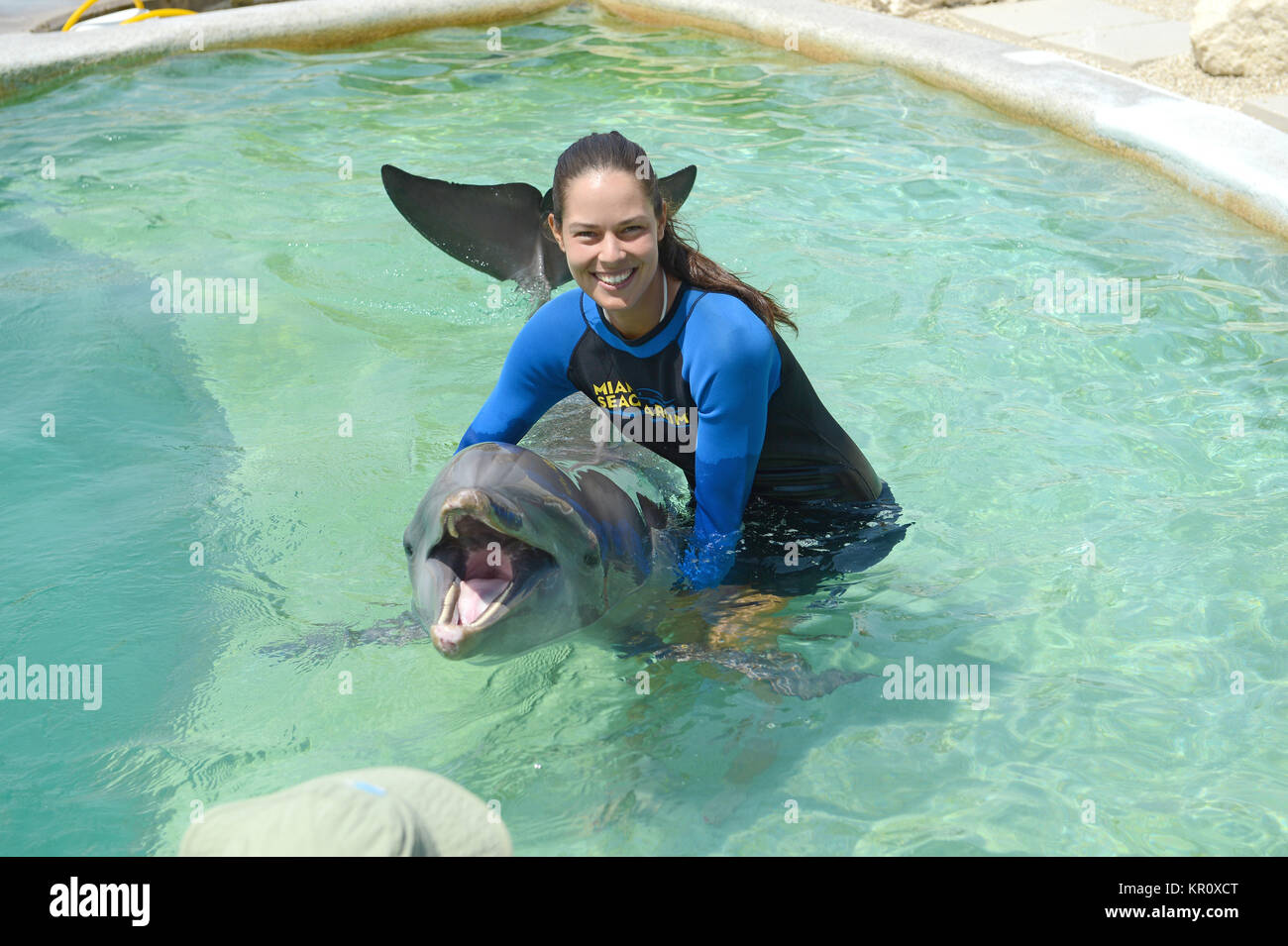 KEY BISCAYNE, FL - MARCH 18: Ana Ivanovic of Serbia swims with dolphins