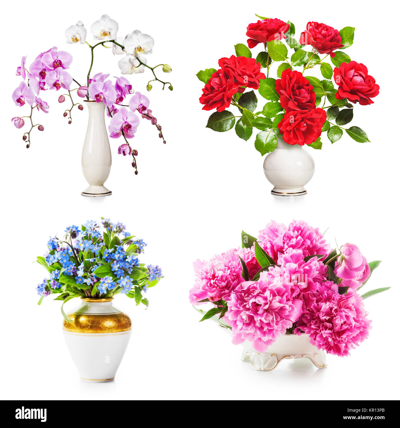Rose flowers in retro Cut Out Stock Images Pictures Alamy