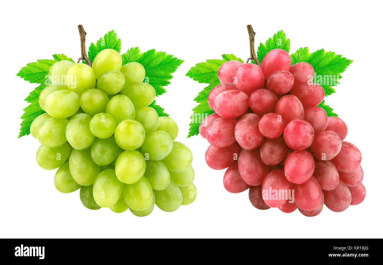Red and green grape with leaves isolated on white background. Collection Stock Photo