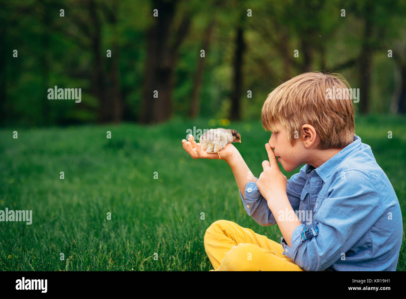 Boy sitting in garden holding a baby chick Stock Photo