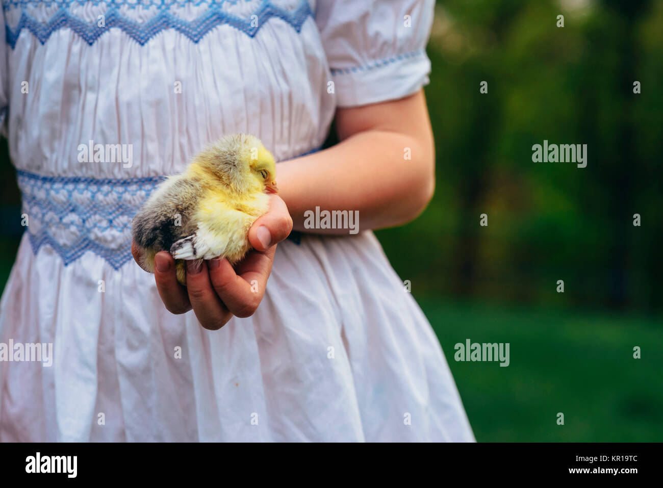 Girl standing in a garden holding a chick Stock Photo