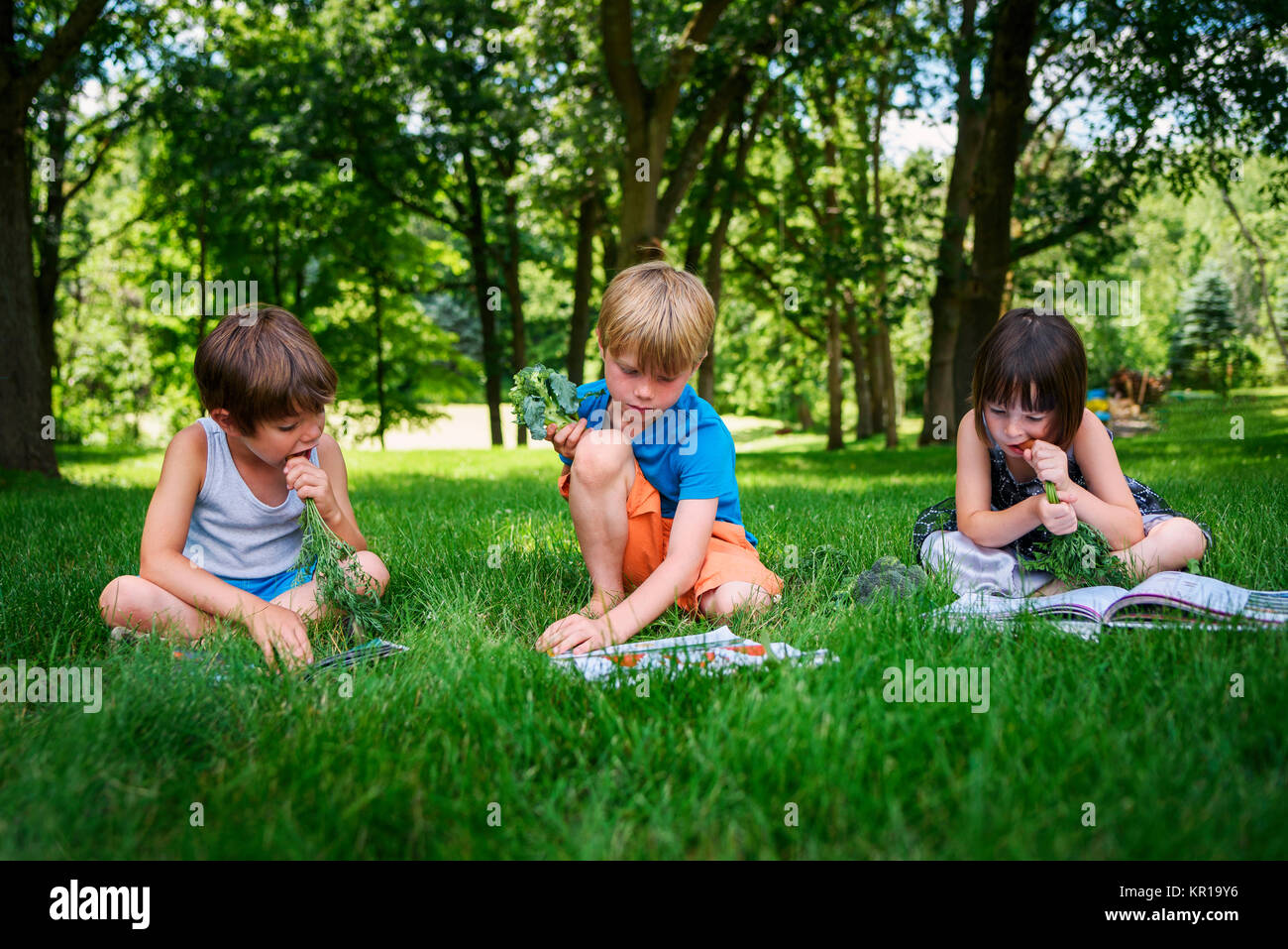 Three children sitting in a garden reading books and eating fresh vegetables Stock Photo