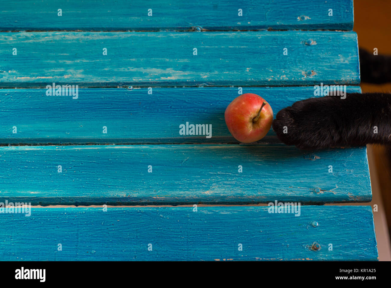 Cat's paw reaching for an apple Stock Photo