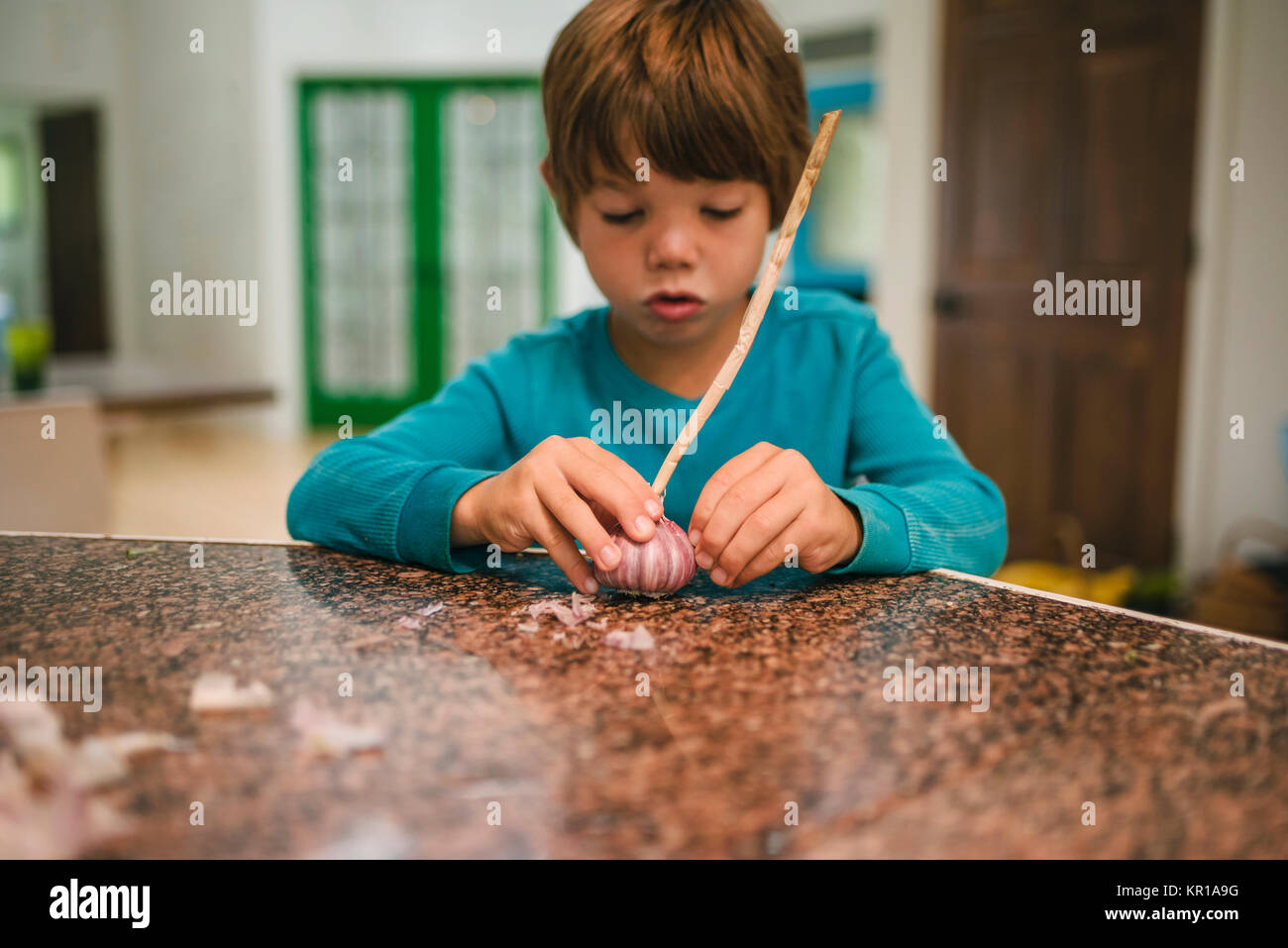 Boy peeling a fresh garlic bulb Stock Photo