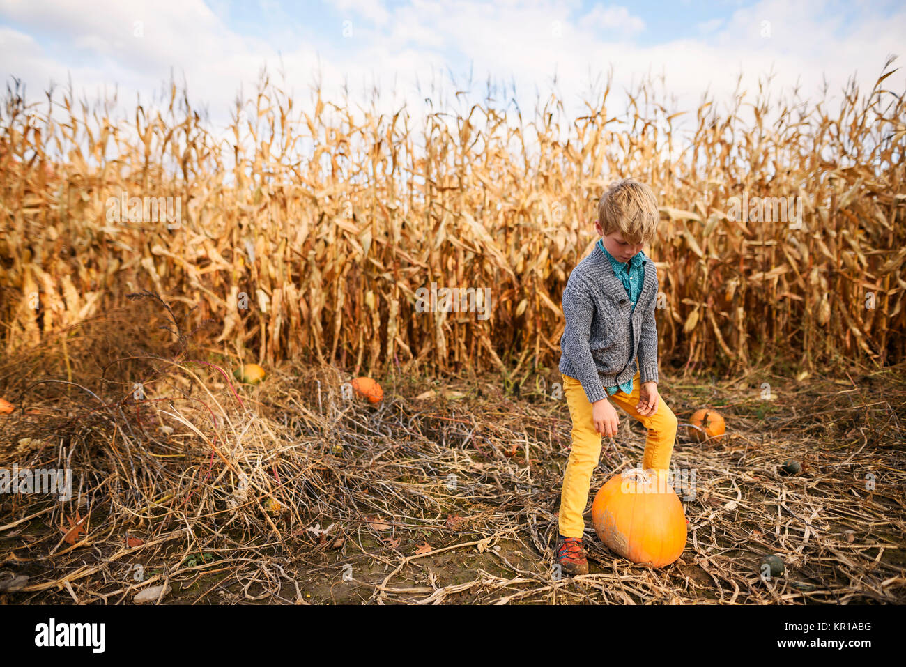 Boy standing in a pumpkin patch next to a pumpkin Stock Photo