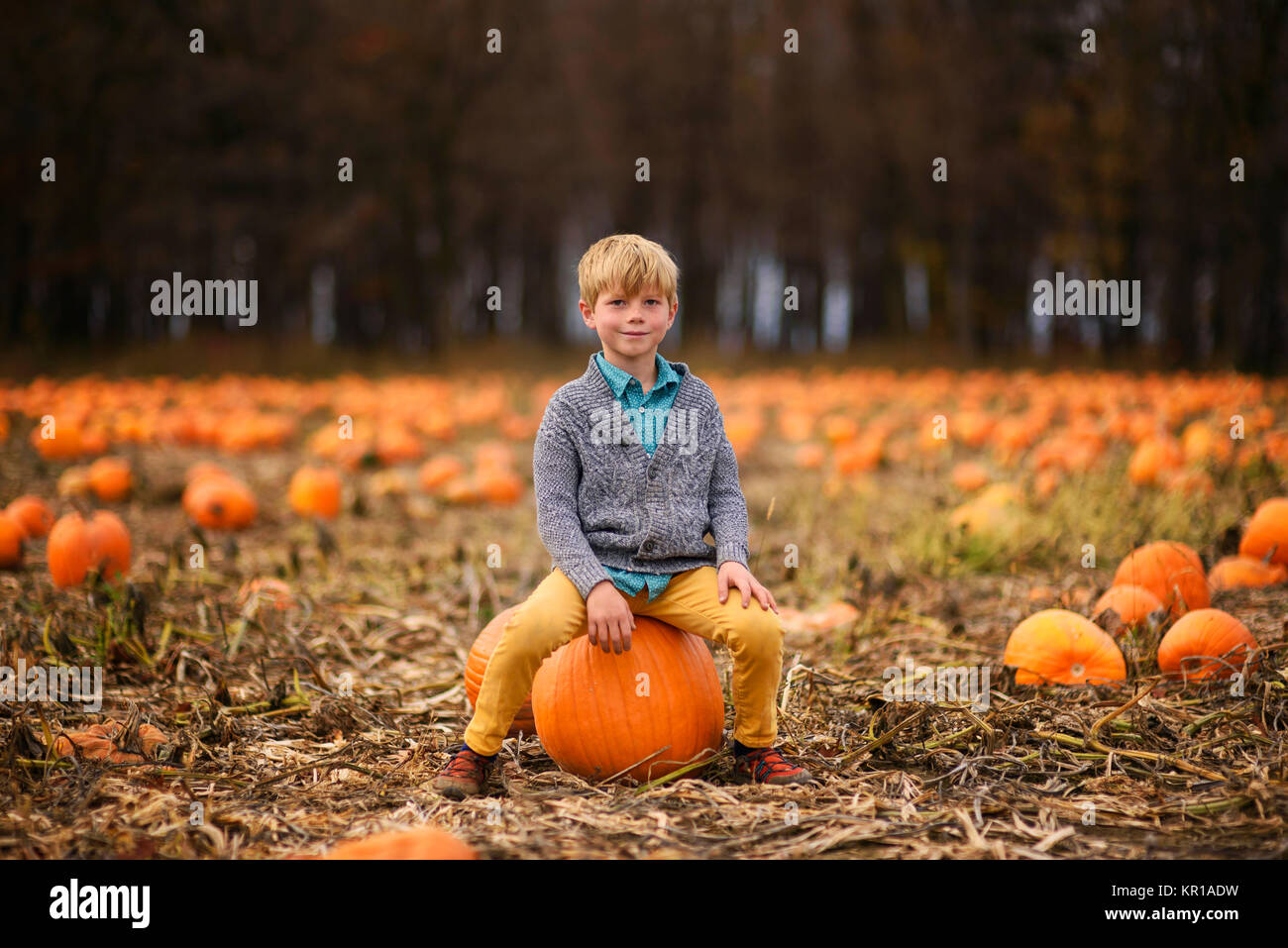 Boy sitting on a pumpkin in a pumpkin patch Stock Photo