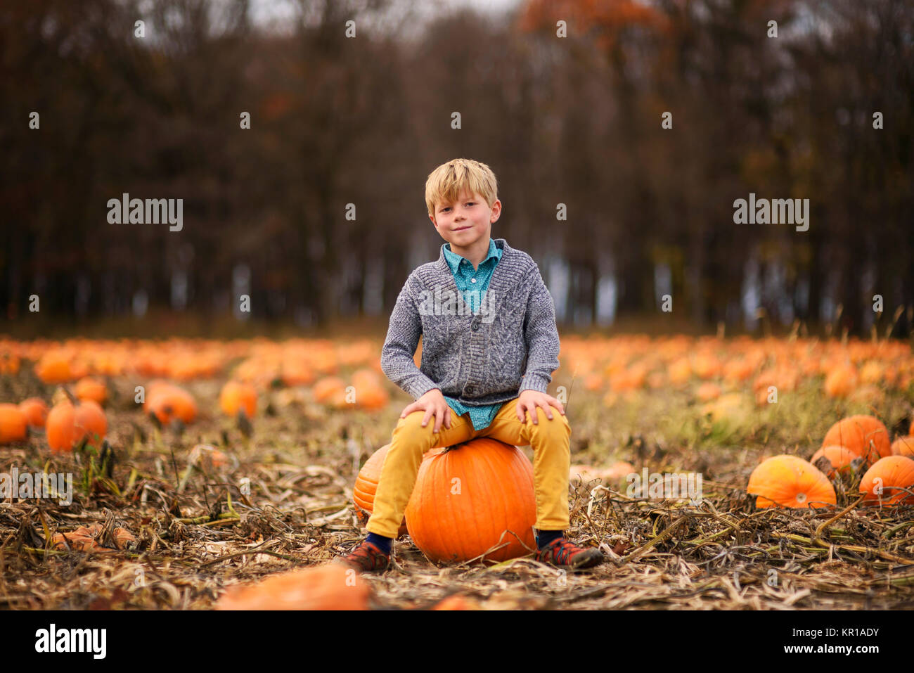 Boy sitting on a pumpkin in a pumpkin patch Stock Photo