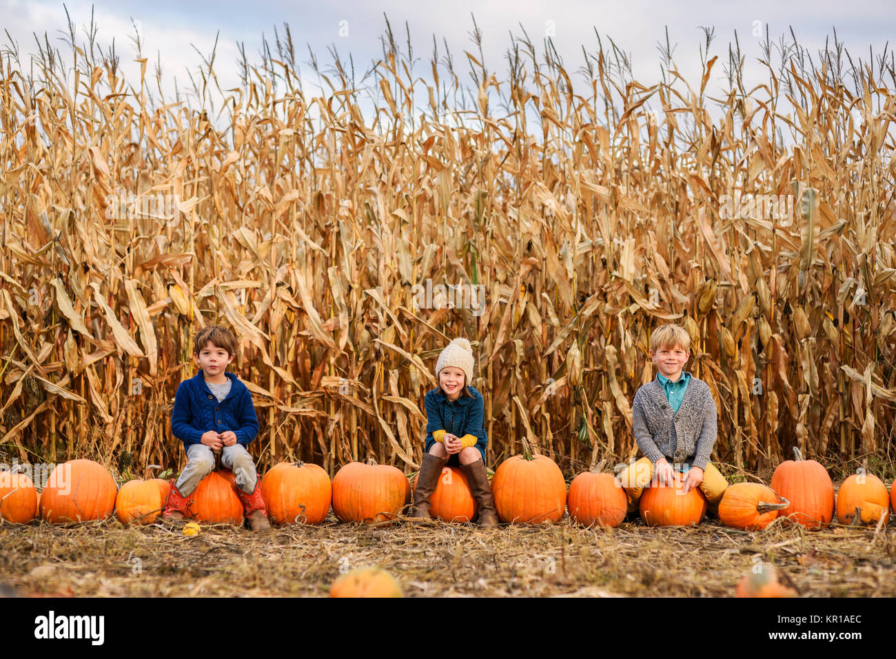 Three children sitting on pumpkins in a pumpkin patch Stock Photo