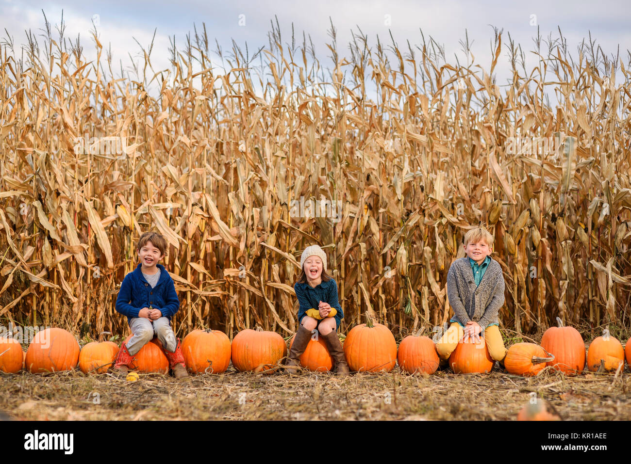 Three children sitting on pumpkins in a pumpkin patch Stock Photo - Alamy