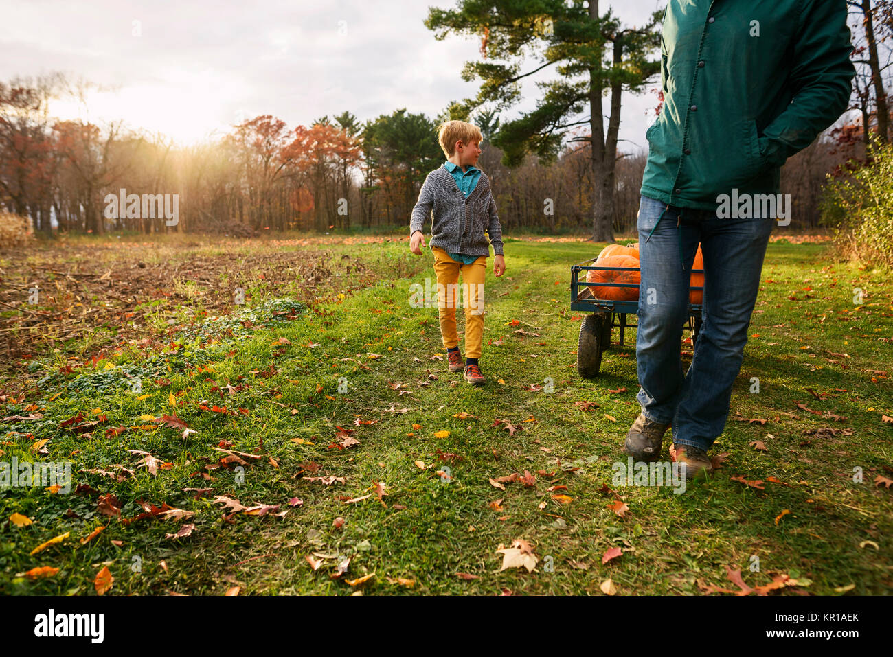 Boy pulling wagon hi-res stock photography and images - Alamy