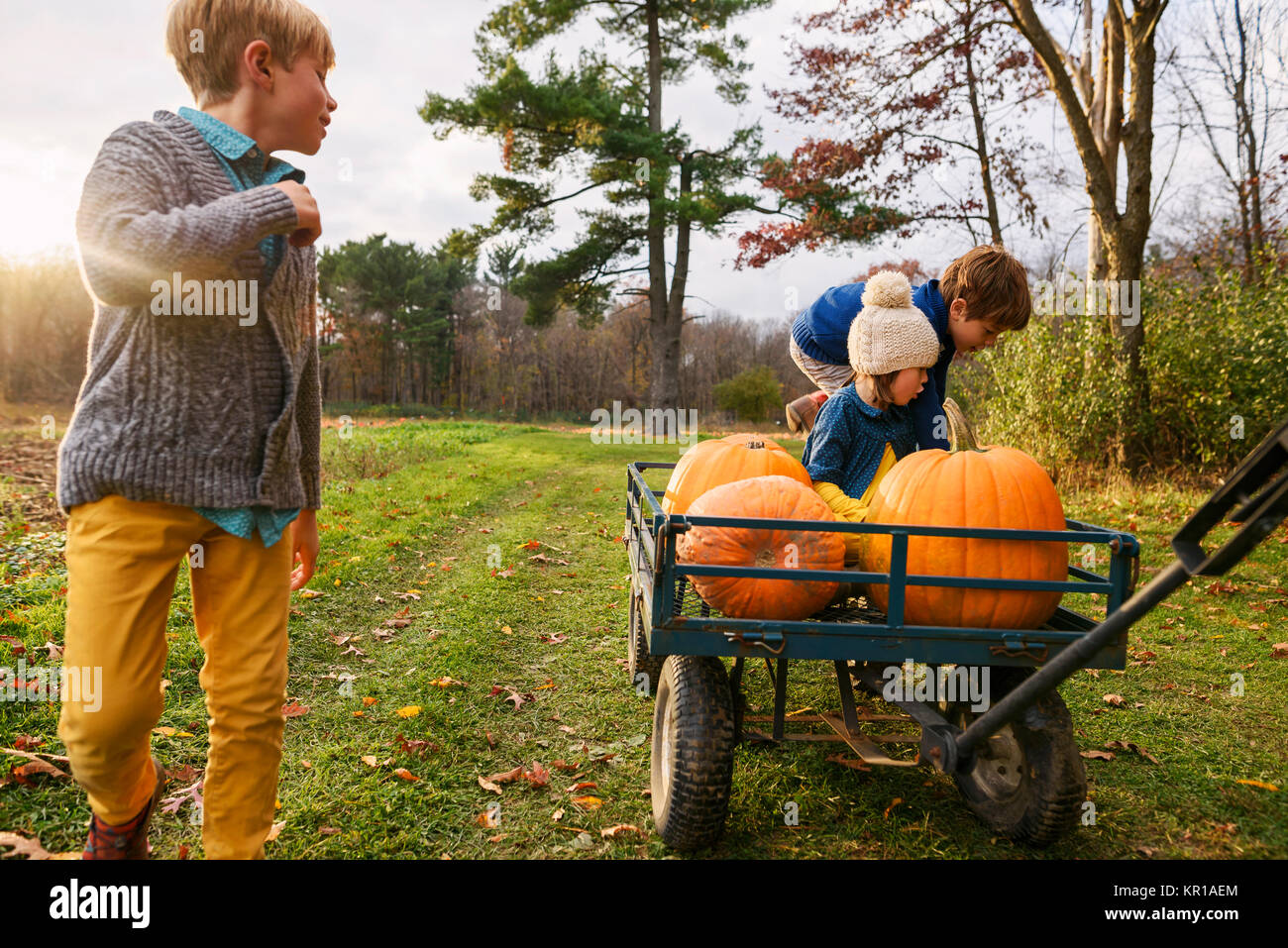 Three children riding on a wagon with pumpkins in a pumpkin patch Stock Photo