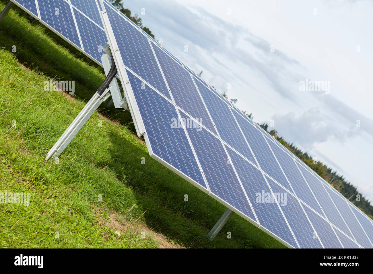 Solarzellen in einem Solarpark auf grüner wiese zur Stromerzeugung Stock Photo
