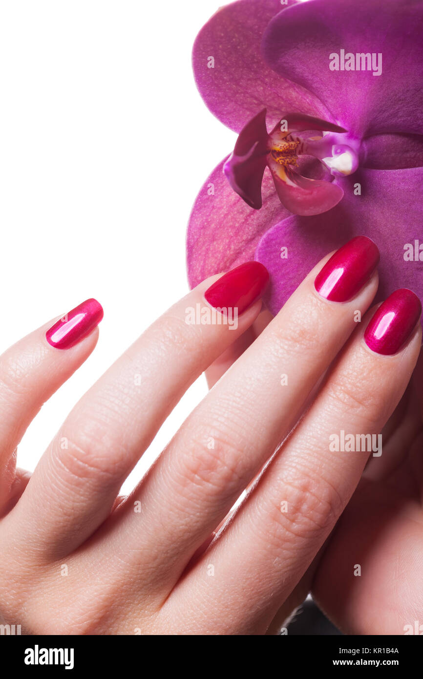 Gepflegte Fingernägel mit rotem Nagellack mit orchideenblüte isoliert auf weißem Hintergrund Stock Photo