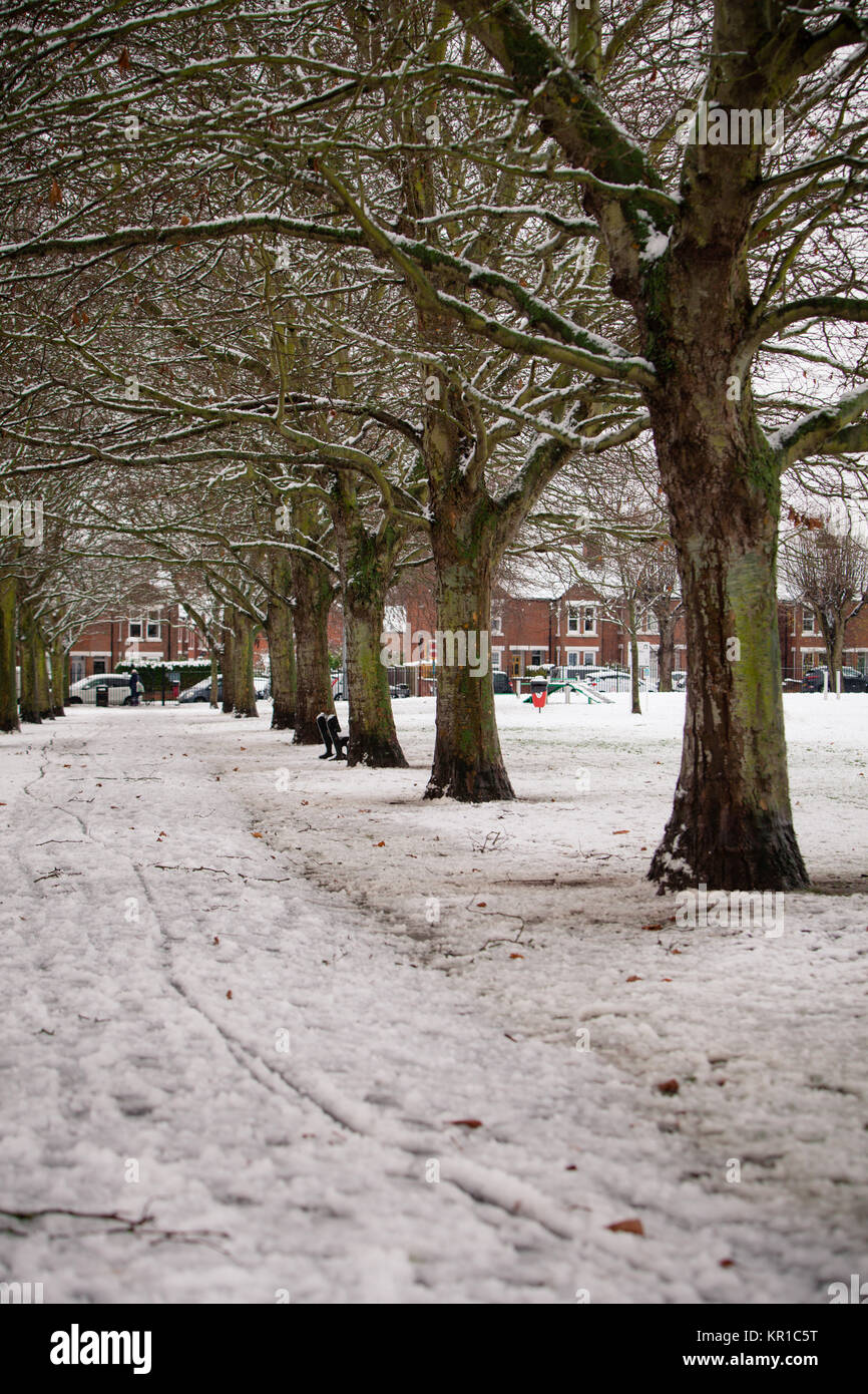 Colchester winter hires stock photography and images Alamy