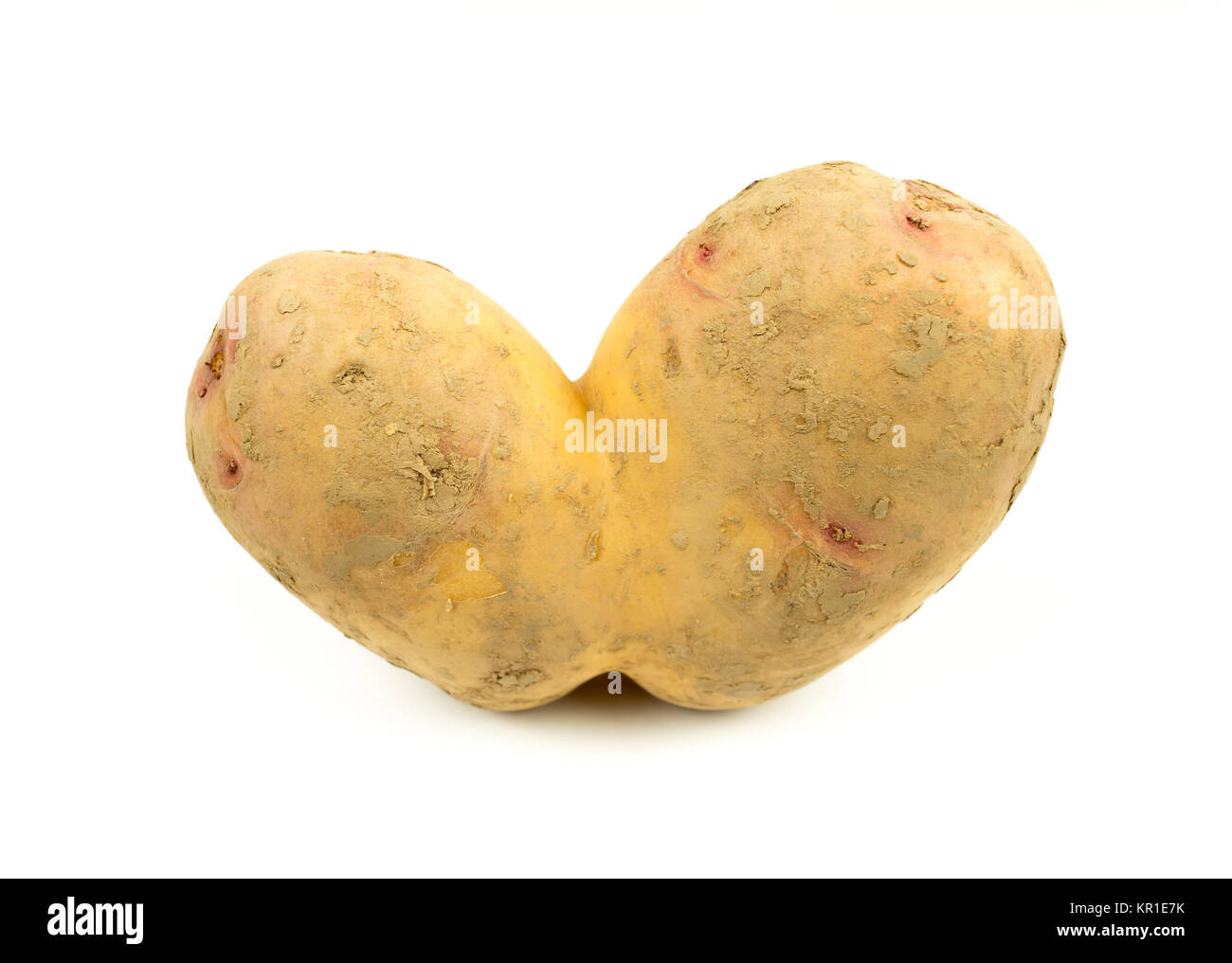 Conjoined Siamese potato on a white background with copy space. Wonky / funny / ugly vegetable or food waste concept. Stock Photo