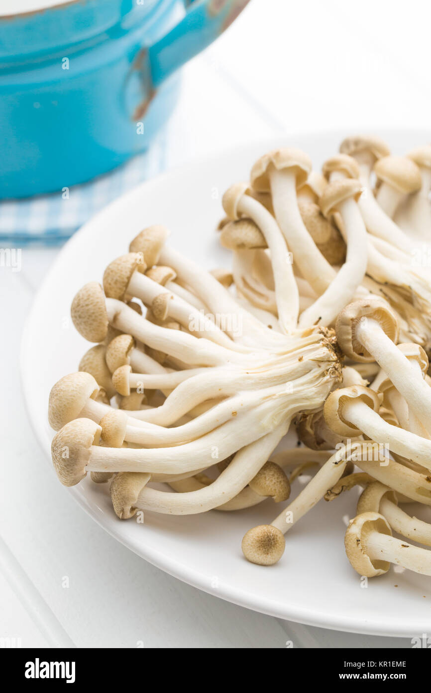 brown shimeji mushrooms Stock Photo Alamy