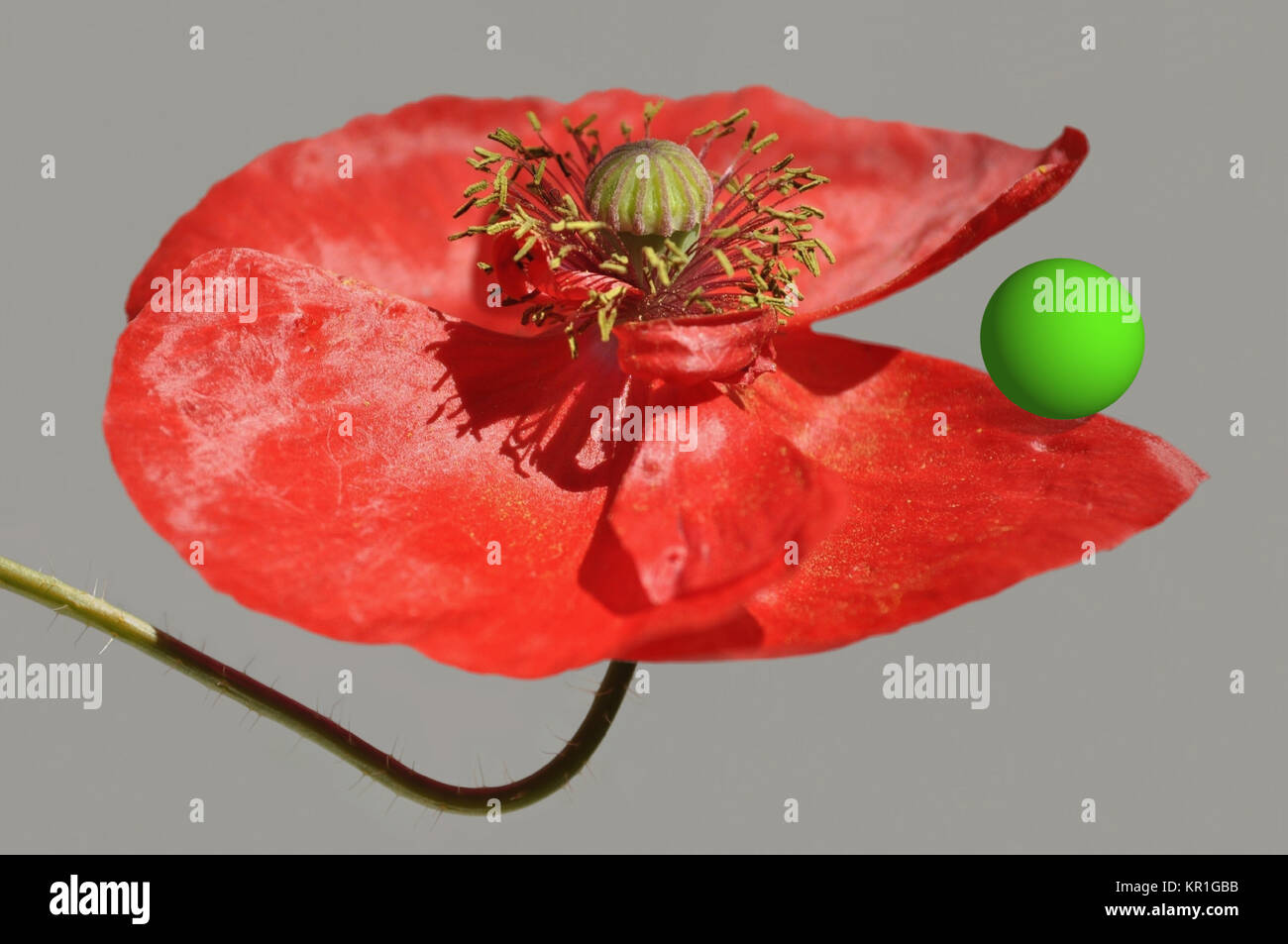 enjoy your meal Stock Photo - Alamy