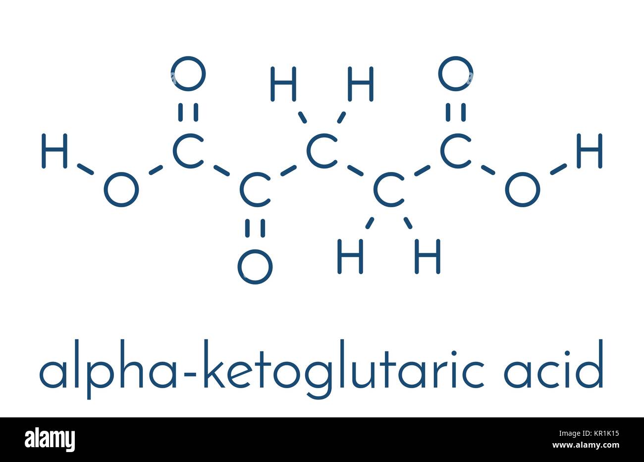 Alpha-ketoglutaric acid (ketoglutarate, oxo-glutarate). Intermediate molecule in the Krebs cycle. Found to prolong lifespan (in nematodes). Skeletal f Stock Vector