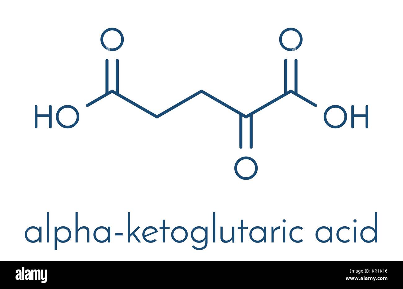 Alpha-ketoglutaric acid (ketoglutarate, oxo-glutarate). Intermediate molecule in the Krebs cycle. Found to prolong lifespan (in nematodes). Skeletal f Stock Vector