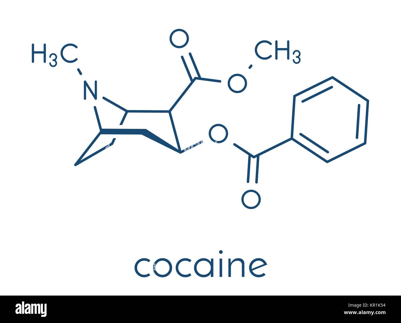 Cocaine stimulant drug molecule. Used as salt or as free base (crack, freebase). Skeletal formula. Stock Vector