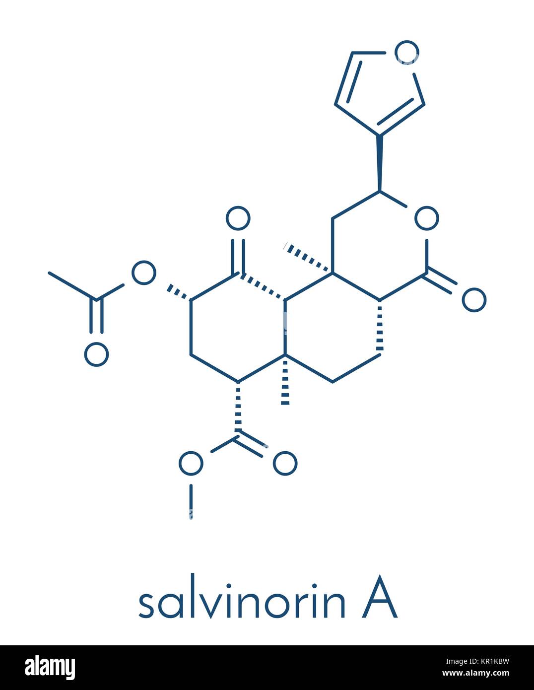 Salvinorin A entheogen molecule. Psychotropic molecule from Salvia divinorum. Skeletal formula. Stock Vector
