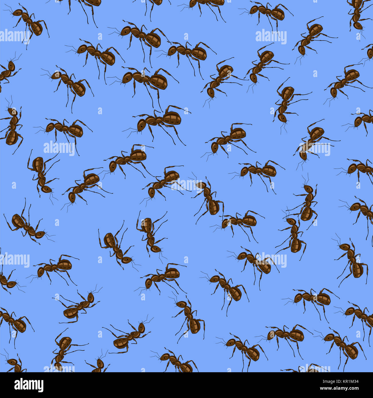 Animal Pattern. Ant Isolated Stock Photo