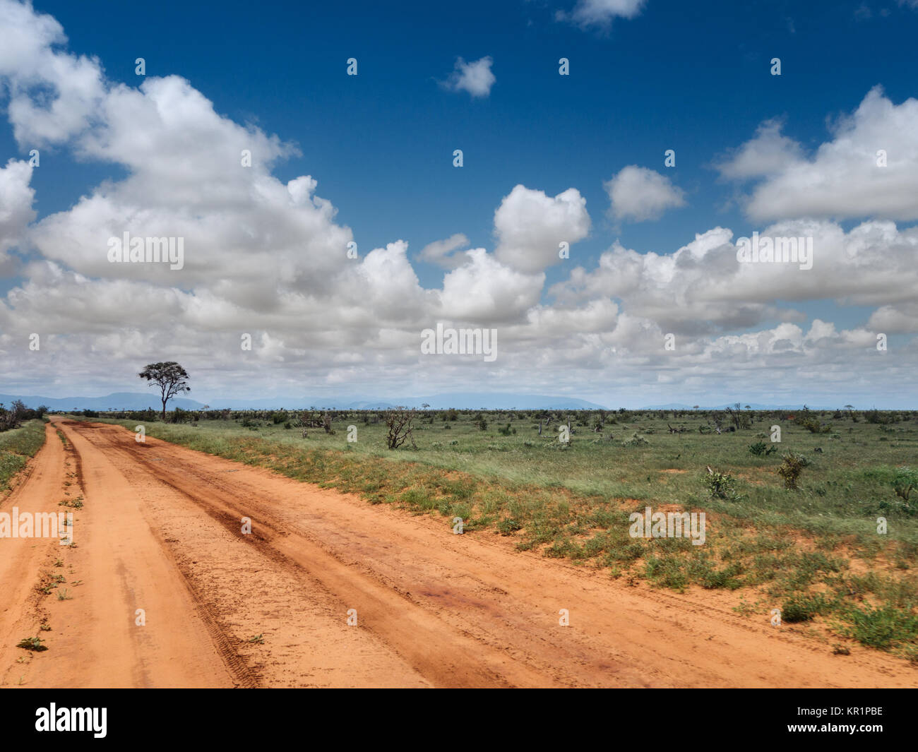 African savannah scene green hi-res stock photography and images - Alamy