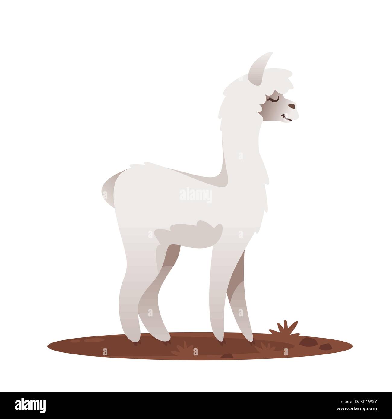 illustration of lama Stock Vector Image & Art - Alamy