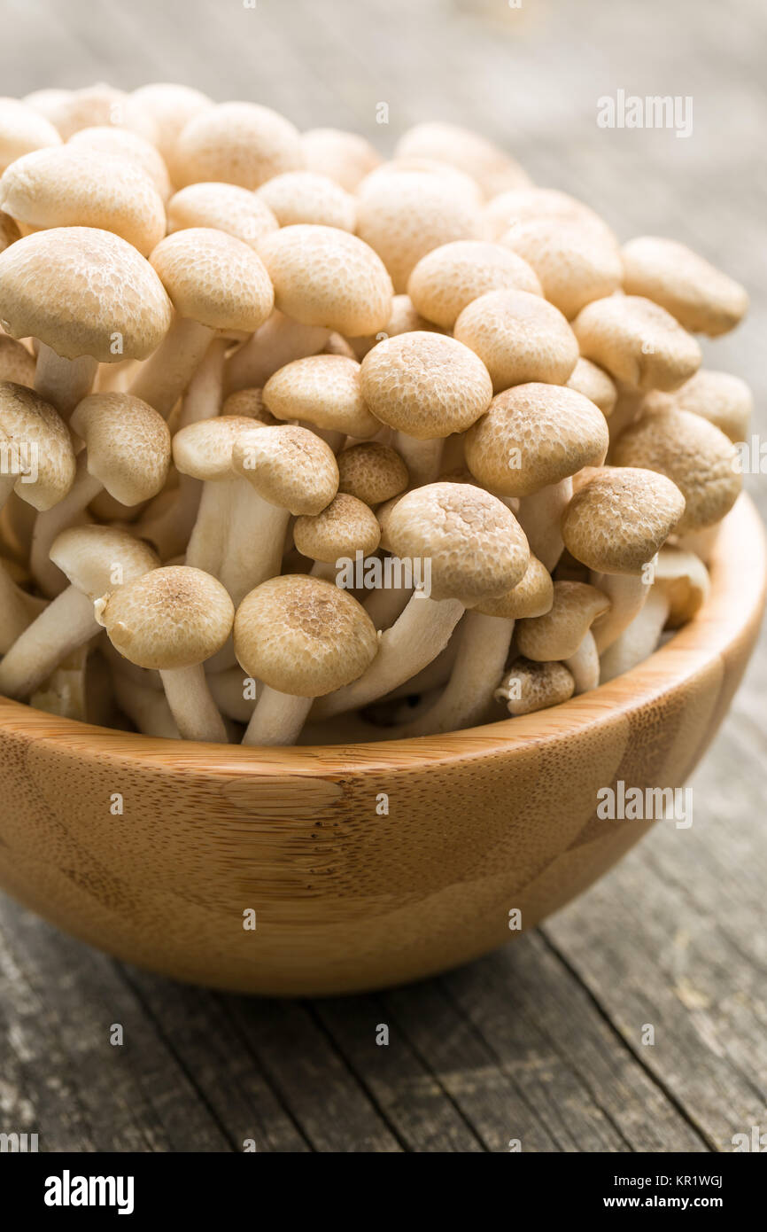 brown shimeji mushrooms Stock Photo Alamy