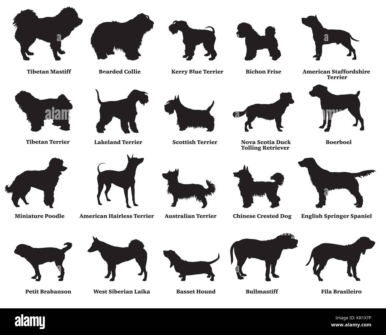 Vector set of different breeds dogs silhouettes isolated in black color on white background. Part 5 Stock Vector