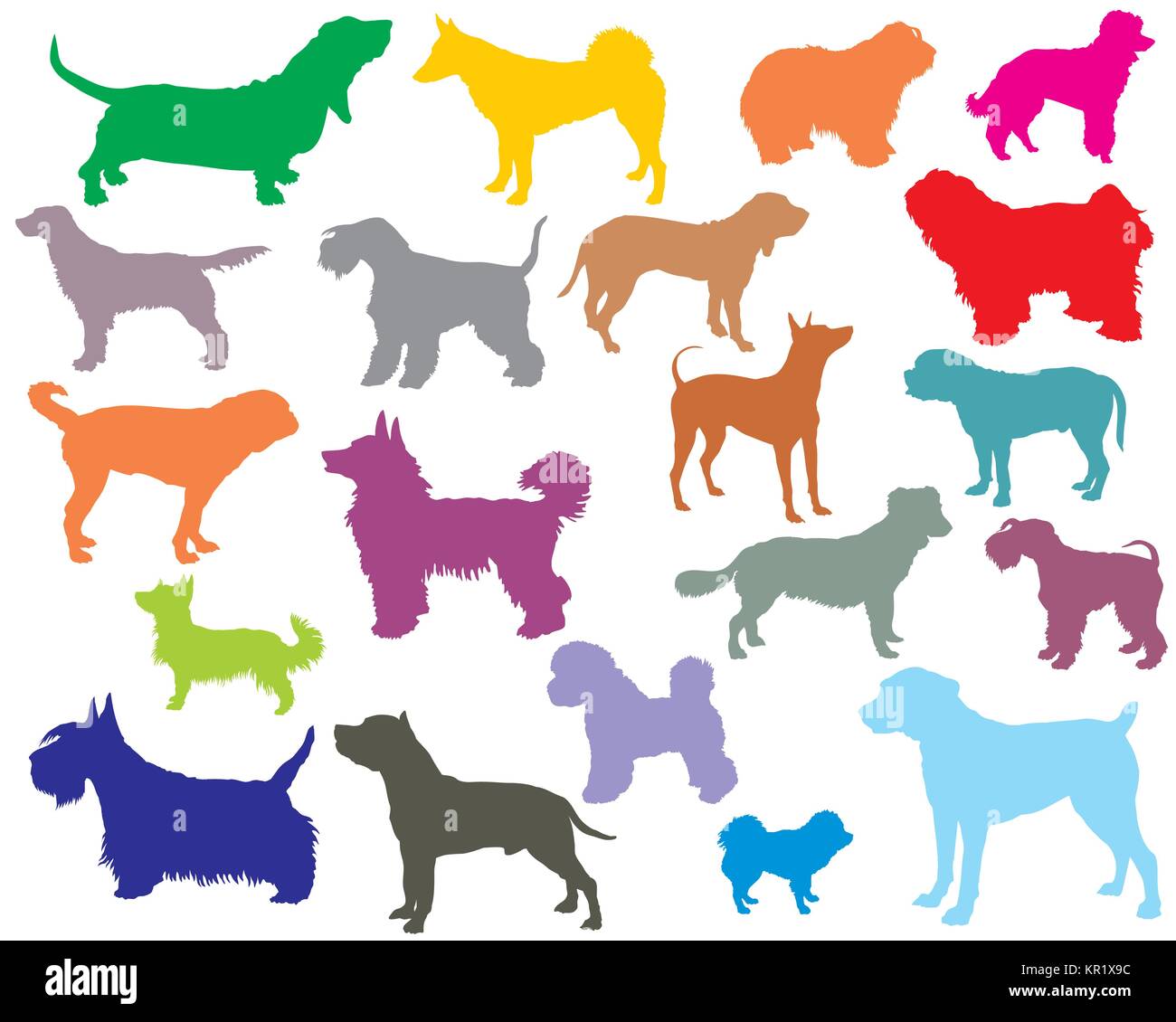 Vector set of colorful isolated different breeds dogs silhouettes on ...