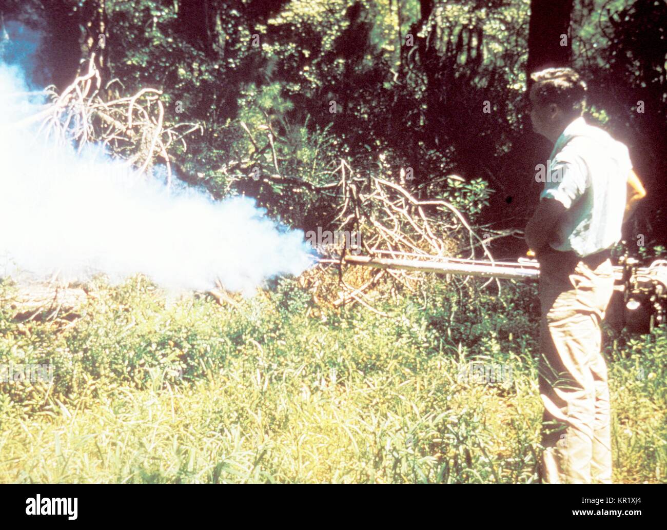 This field technician was using a ?, 1981. swingfog?. hand-held fog generator in an attempt to control populations of potential disease vectors by disseminating an insecticide fog into their outdoor habitat. This fog generator creates a heated, smokier mist than the larger particulate cold mist, which means greater hang time, or the length of time the insecticide smoke will remain suspended in the air. Oil- or water-based fogging solutions are able to be processed through this fogger. Image courtesy CDC. Stock Photo