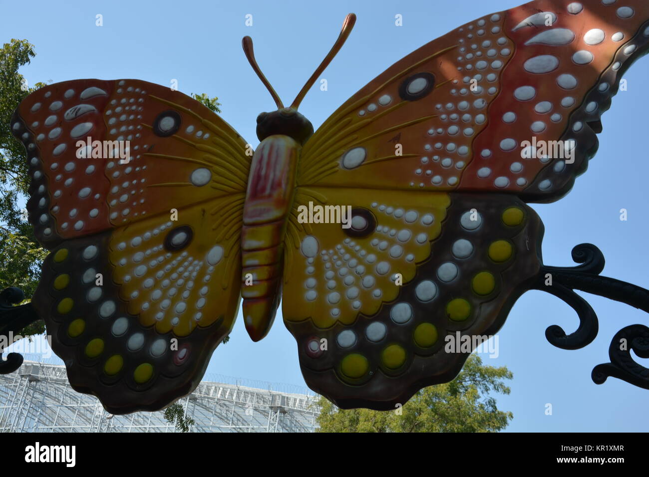 Beautiful Butterflies at the Butterfly park at Ramoji film city at