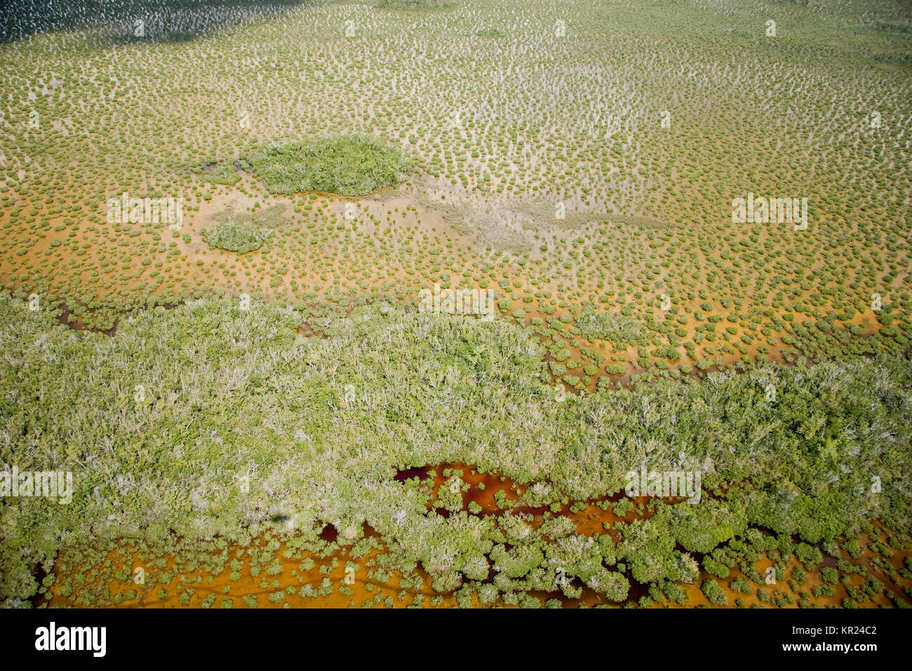 Aerial of Everglades National Park, Florida Stock Photo