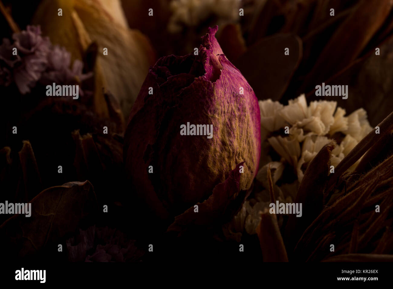 Decoration of dried flowers. Roses Stock Photo - Alamy