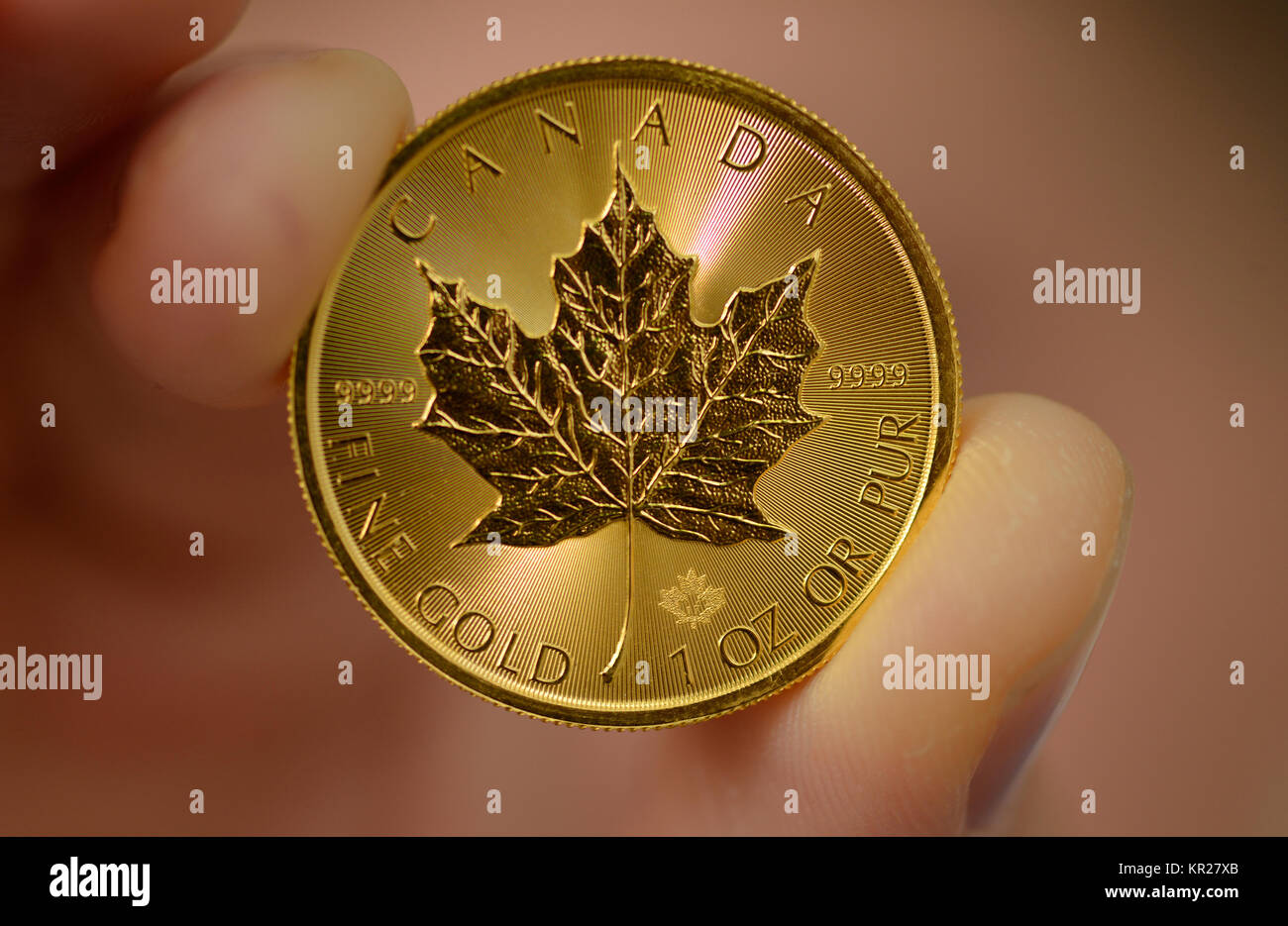 1 ounce, Canadian Maple Leaf, golden coin, 1 Unze, Goldmuenze Stock Photo -  Alamy