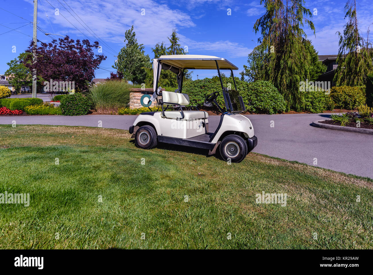 white electric golf cart standing on the grass. Green trees and bushes in the background, blue sky and clouds Stock Photo