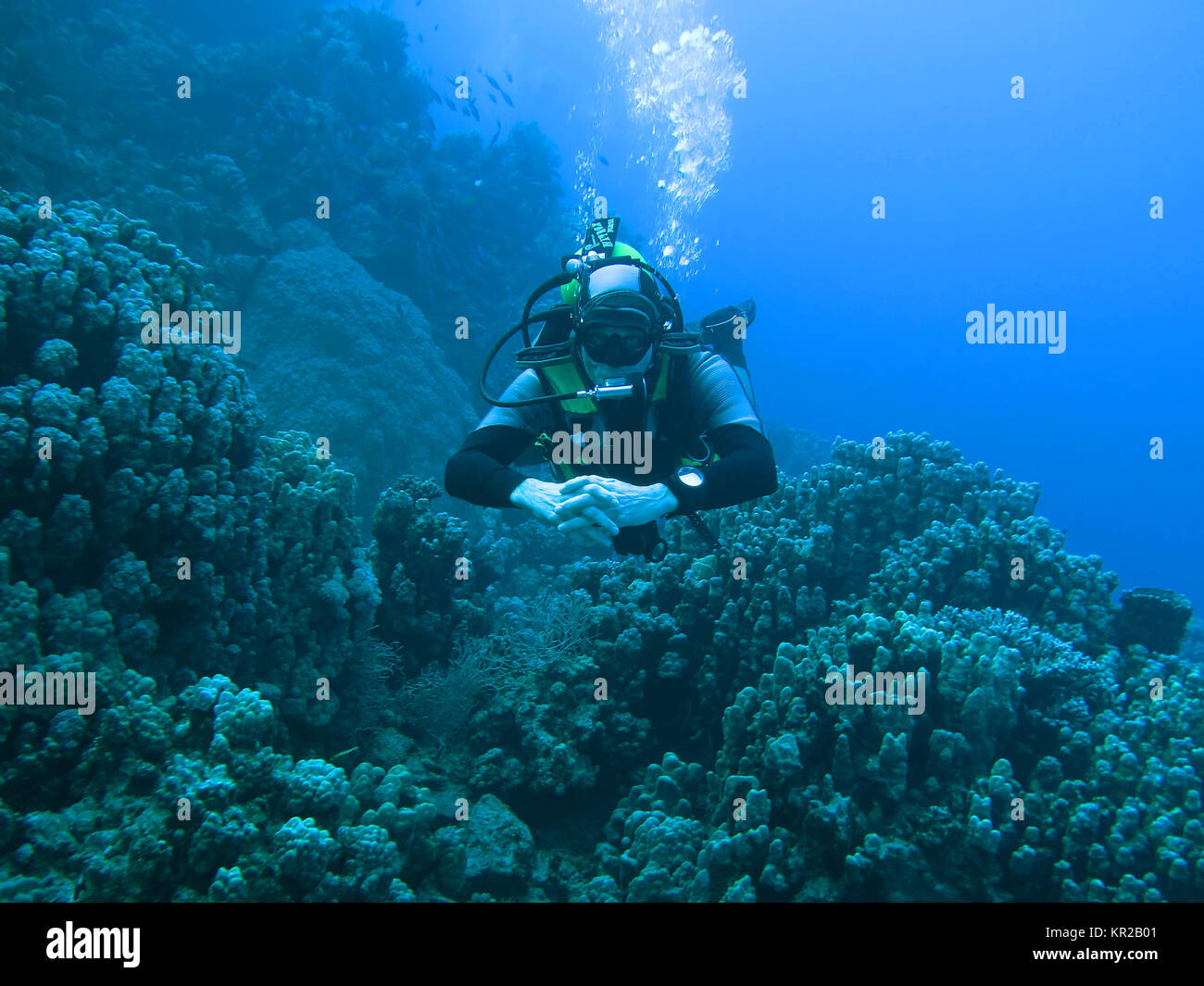 Diver, Saint Johns reef, the Red Sea, Egypt, Taucher, St. Johns Riff, Rotes Meer, Aegypten Stock Photo