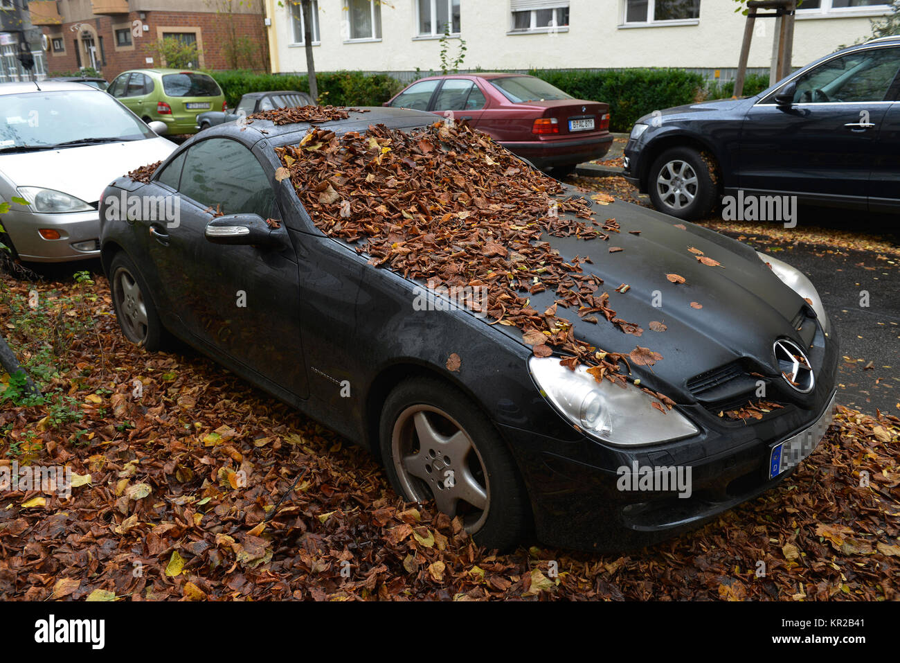 Car, foliage, Auto, Laub Stock Photo - Alamy