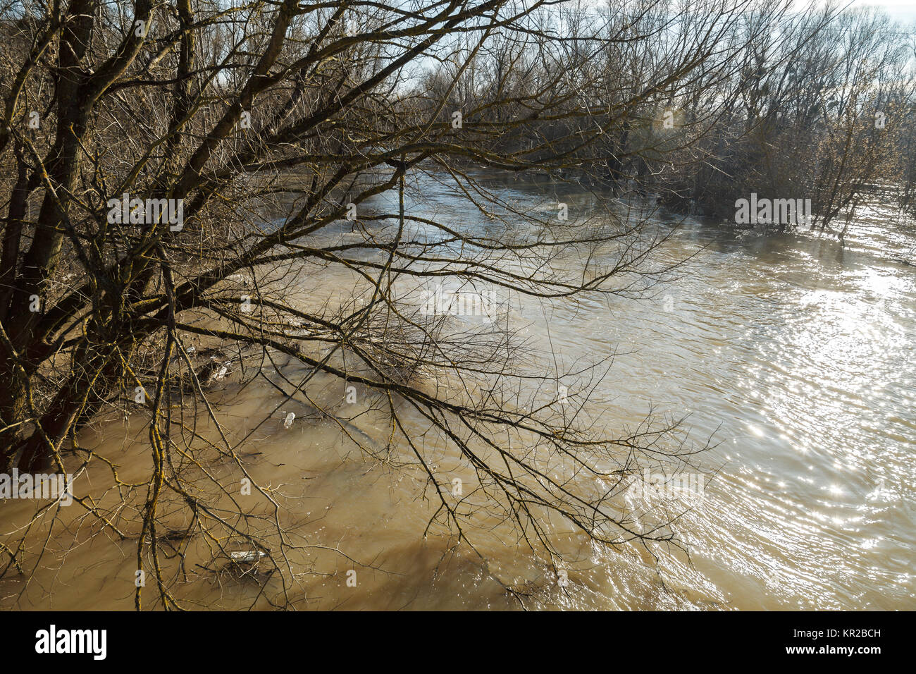 River Bank Raining The river after the downpours came out of the banks. Flooding of river ...