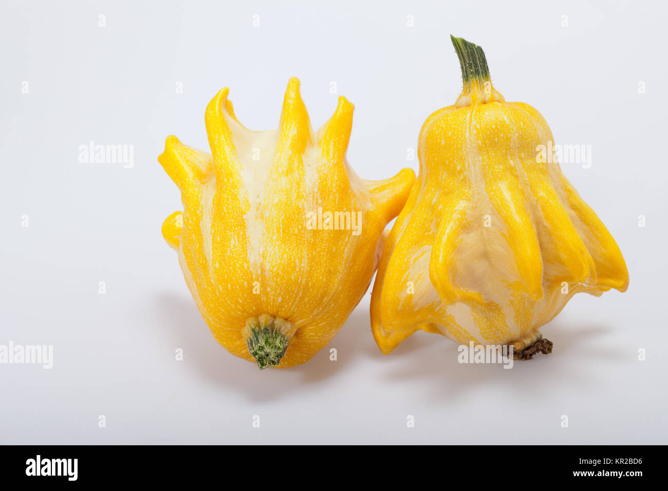 Decorative pumpkin isolated on white background Stock Photo - Alamy