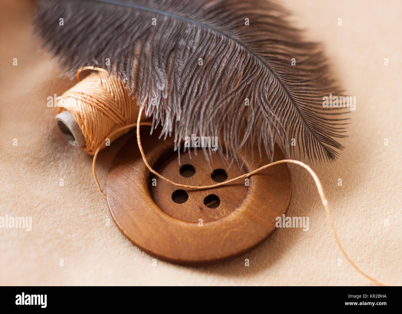 Wooden button and spool of thread under a feather Stock Photo - Alamy
