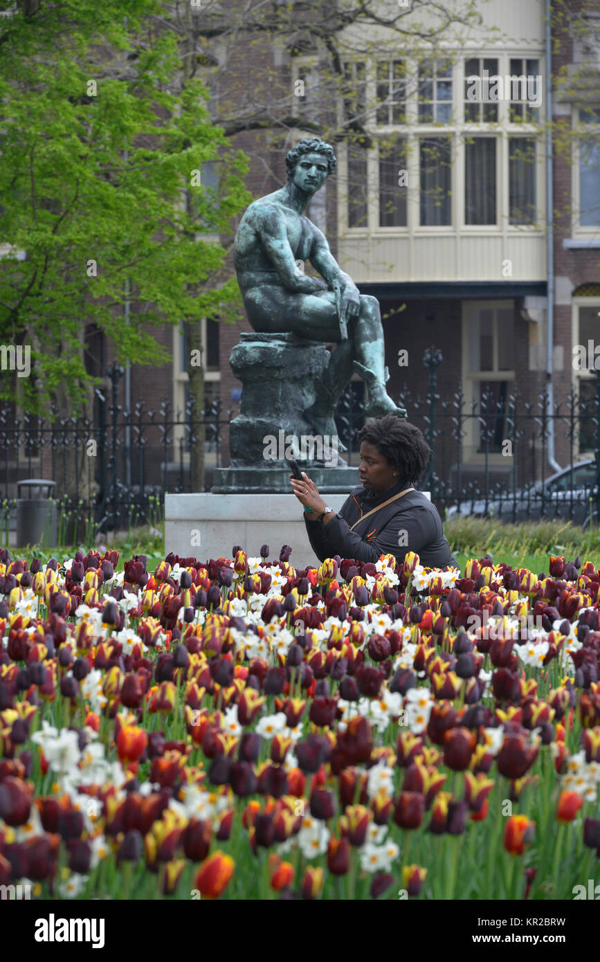 Sculpture garden, Rijkmuseum, Museumstraat, Amsterdam, the Netherlands, Skulpturengarten, Niederlande Stock Photo